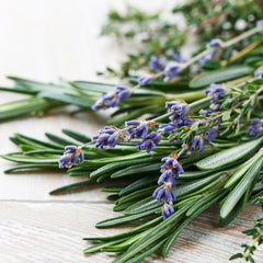 Exploring the Benefits of Rosemary Lavender in Beauty and Wellness Products