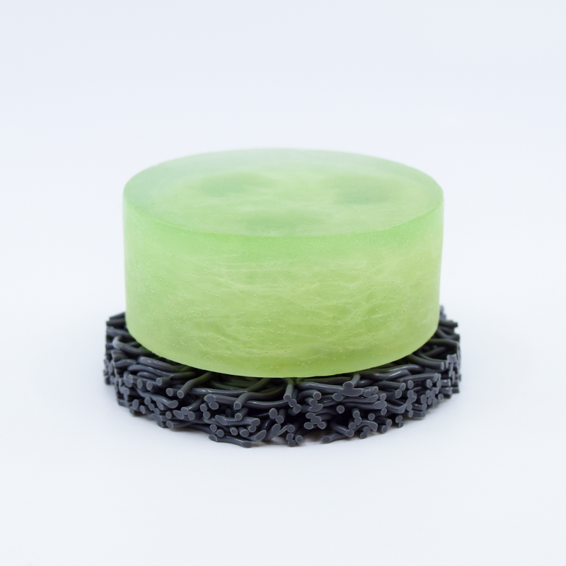 Coconut Lime Verbena Loofa Soap