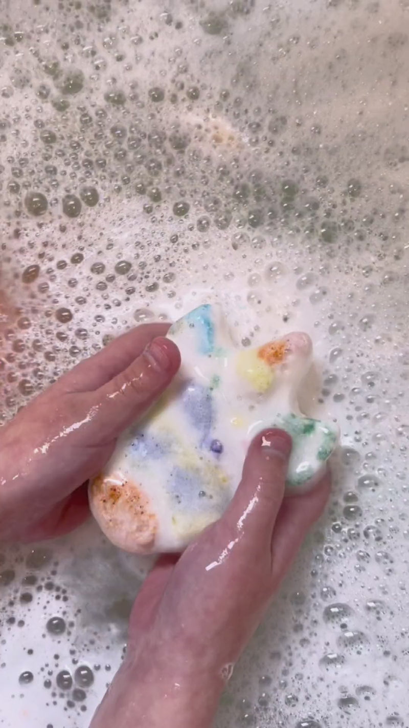 Paint Your Own Bath Bombs- Palm Tree and Dolphin